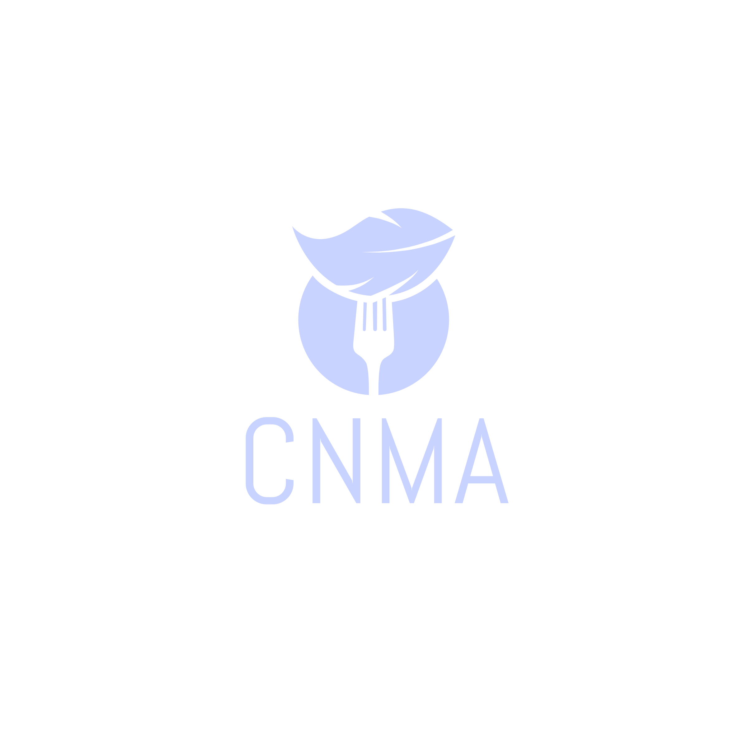 cnma.site